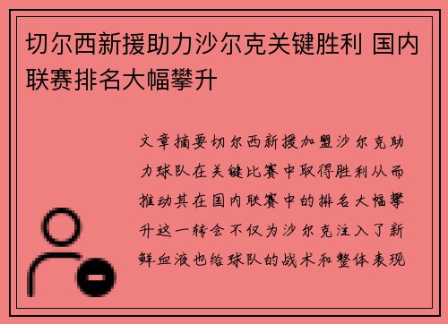 切尔西新援助力沙尔克关键胜利 国内联赛排名大幅攀升